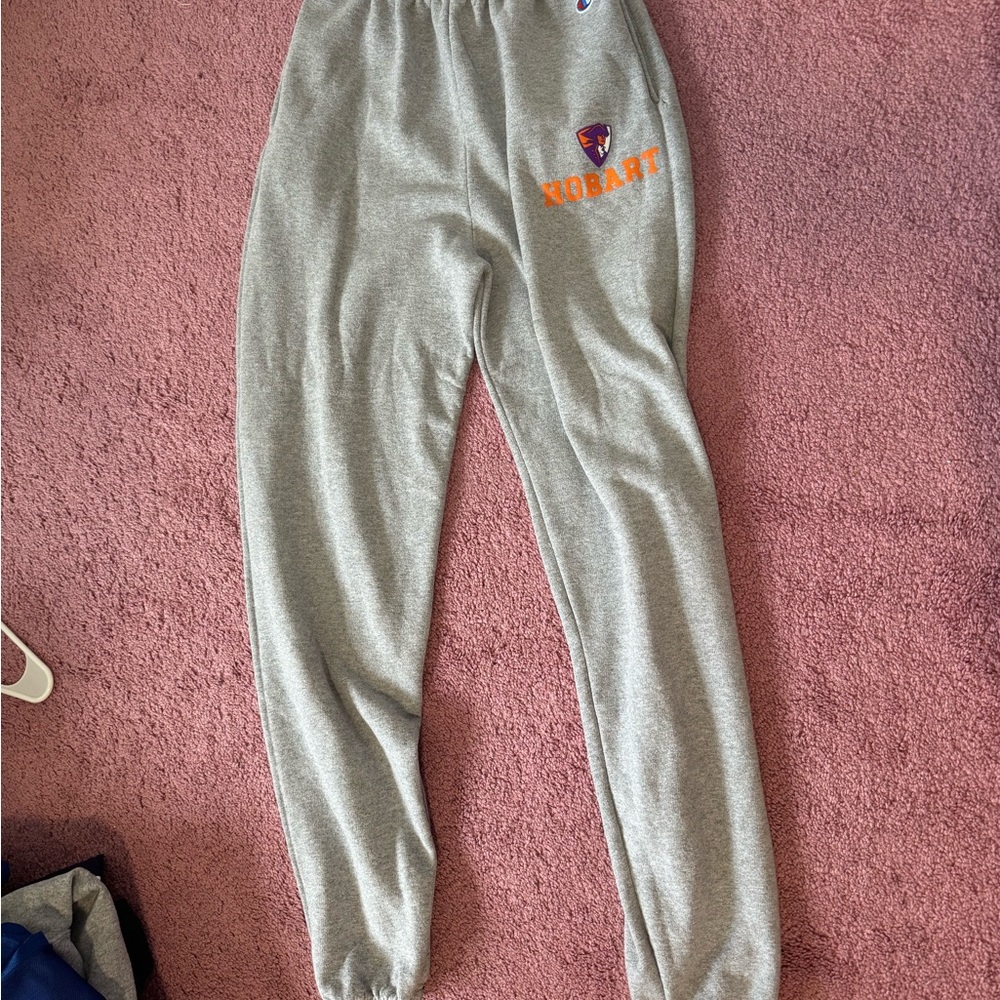 Champion Hobart sweatpants, Sweatshirt, and Purple t-shirt